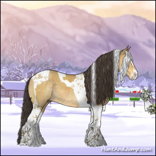Horse Color:Buckskin Dun Sabino Tobiano