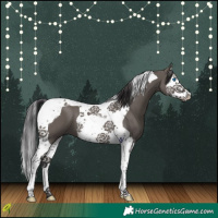 Horse Color:Smoky Grullo Splash Tobiano 