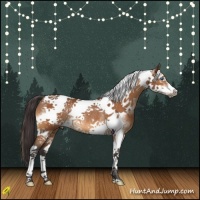 Horse Color:Buckskin Tobiano Frame Rabicano 
