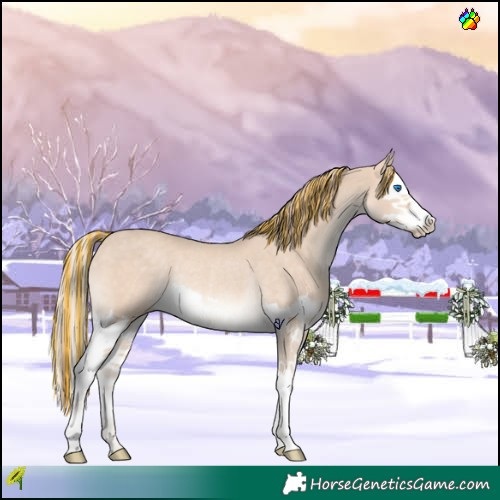 Horse Color:Painted Perlino Splash Rabicano 