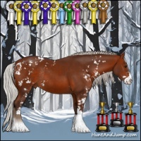 Horse Color:Silver Bay Sabino Rabicano