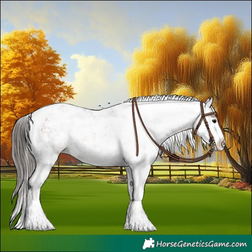 Horse Color:Brown Sabino Appaloosa 
