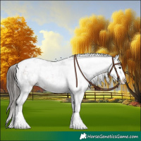 Horse Color:Brown Sabino Varnish 
