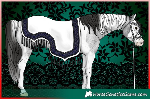 Horse Color:Liver Red Roan Splash Tobiano