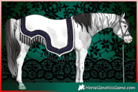 Horse Color:Liver Red Roan Splash Tobiano 