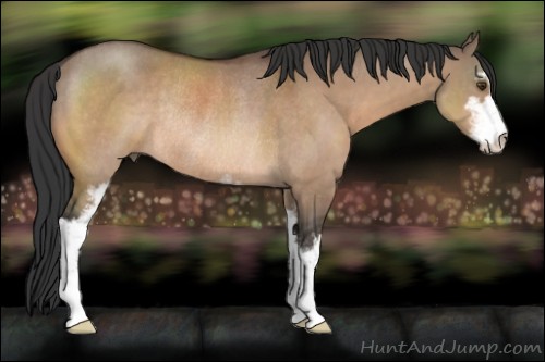 Horse Color:Brown Dun Sabino Rabicano 