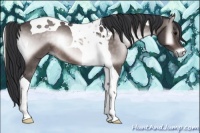 Horse Color:Platinum Brown Onyx Tobiano 