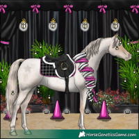 Horse Color:Chocolate Palomino Roan Pearl 
