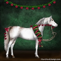 Horse Color:Gray White Spotted Chestnut 