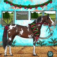 Horse Color:White Spotted Brown Splash 