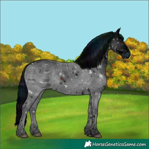 Horse Color:ERROR: UNKNOWN ANOMALY