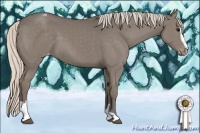 Horse Color:Silver Grullo Sabino Appaloosa 