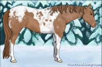 Horse Color:Chestnut Tobiano Varnish 
