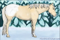 Horse Color:Silver Classic Cream Champagne Appaloosa 