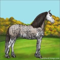 Horse Color:Blue Roan Sabino Splash and Classic Champagne Roan Sabino Splash