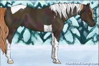 Horse Color:Midnight Gold Champagne Tobiano 
