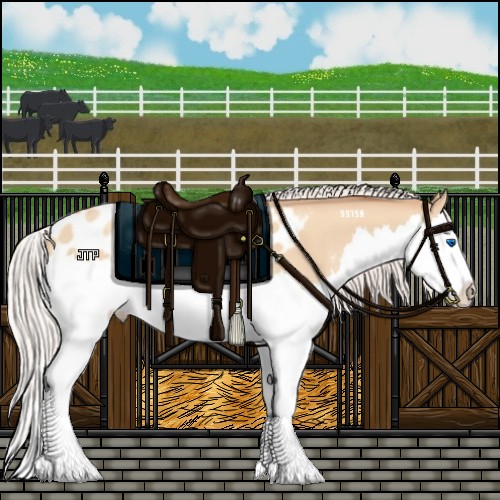 Horse Color:Silver Amber Champagne Dun Sabino Splash Appaloosa 