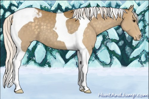 Horse Color:Silver Smoky Black Tobiano Varnish 