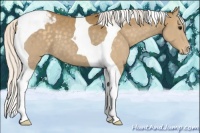 Horse Color:Silver Smoky Black Tobiano Varnish 