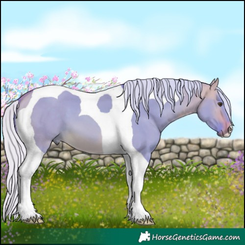 Horse Color:Watercolor Silver Buckskin Dun Tobiano 