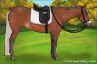 Horse Color:Silver Bay 