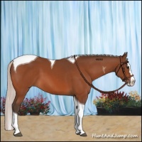 Horse Color:Silver Bay Splash Tobiano 
