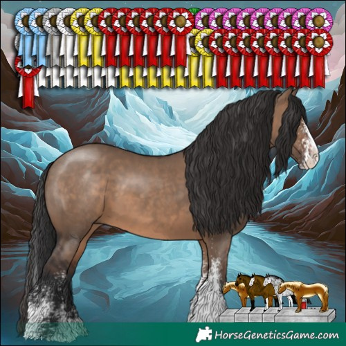 Horse Color:White Spotted Brown Dun Splash