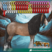 Horse Color:White Spotted Brown Dun Splash 