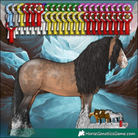 Horse Color:White Spotted Brown Dun Splash