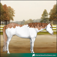Horse Color:Chestnut Ice Splash 