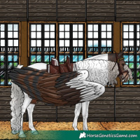 Horse Color:Silver Brown Tobiano 