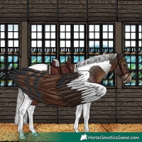 Horse Color:Silver Brown Tobiano 