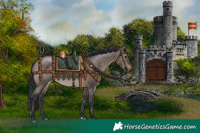 Horse Color:Brown Dun Rabicano