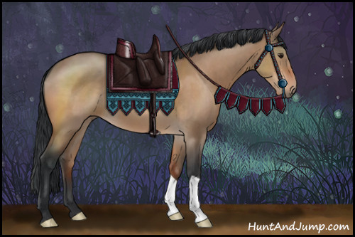 Horse Color:Brown Dun 