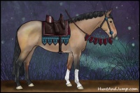 Horse Color:Brown Dun