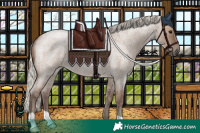 Horse Color:Silver Grullo Roan 