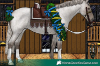 Horse Color:Silver Grullo Roan 
