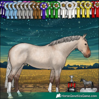 Horse Color:Silver Brown Roan Dun 