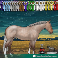 Horse Color:Silver Brown Roan Dun 