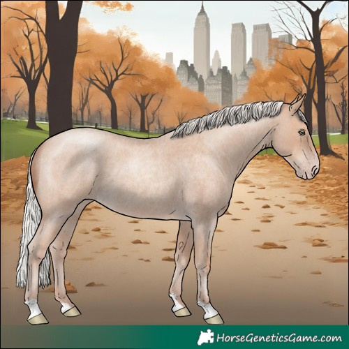 Horse Color:Silver Classic Champagne Roan 