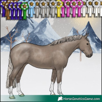 Horse Color:Silver Grullo