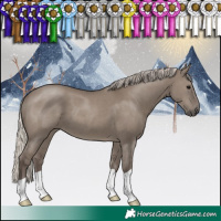 Horse Color:Silver Grullo 