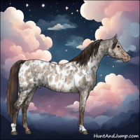 Horse Color:Brown Roan Near Leopard and Sable Champagne Dun Near Leopard
