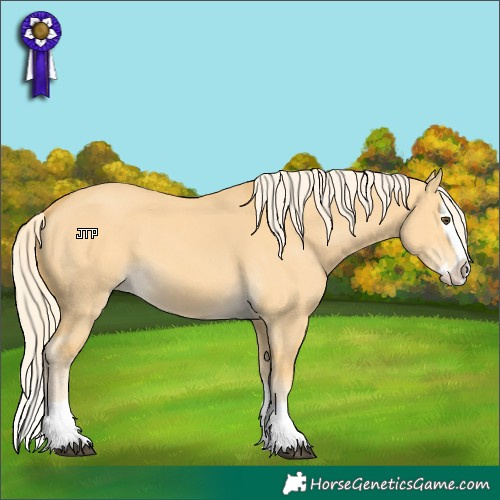 Horse Color:Palomino Dun Splash 