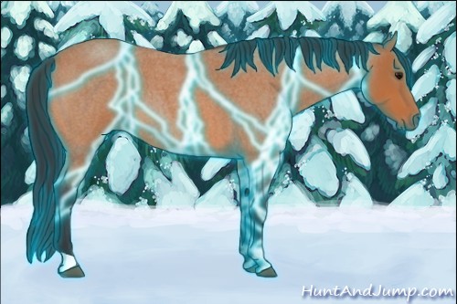 Horse Color:Thunderstruck Bay Roan 