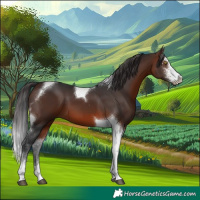 Horse Color:Brown Sabino Tobiano