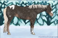 Horse Color:Liver Chestnut Mushroom Snowflake Varnish 