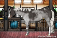 Horse Color:Liver Chestnut Mushroom Varnish