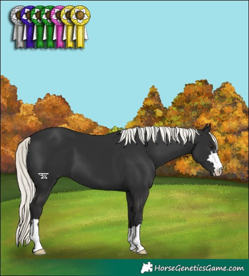 Horse Color:Liver Chestnut Mushroom 