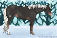 Horse Color:Liver Chestnut Mushroom Appaloosa 